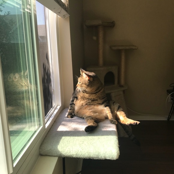 Meet your Posher, Nic - Picture 1 of 1